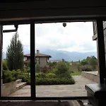 & فيلة بانسكو